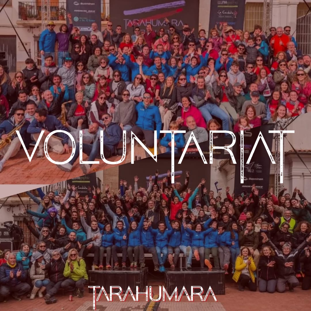 Voluntariat 2025